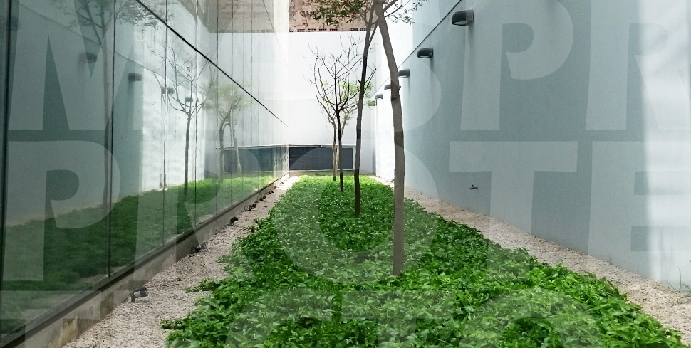 Impermeabilización para Jardines y Jardineras