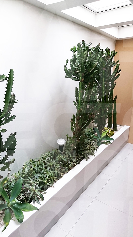 Impermeabilización de Jardinera