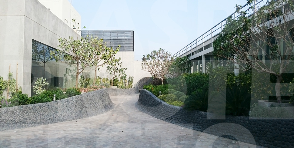 Impermeabilización para Techo Verde